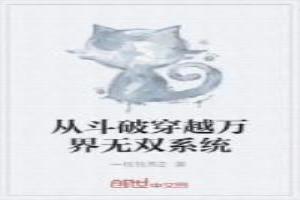 从斗破穿越万界无双系统