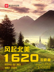 风起北美1620