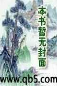 大清风水师传